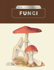 Kew Pocketbooks: Fungi (2021)