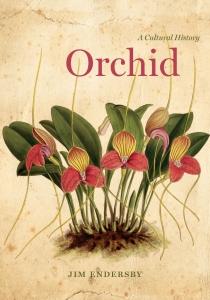 Orchid (2017)-Jim Endersby