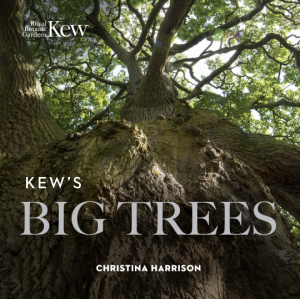 Kew's Big Trees (2008)-Christina Harrison