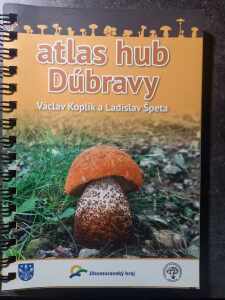 (antik) Atlas hub Dúbravy (2019)-Koplík, Špeta