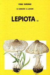 (antik) Fungi Europaei 4 Lepiota s.l. (1991)-M. Candusso & G. Lanzoni