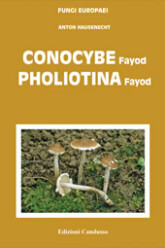 (antik) Fungi Europaei 11 Conocybe - Pholiotina (2008)-A. Hausknecht