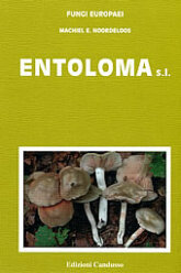 (antik) Fungi Europaei 5A Entoloma s.l. (Suppl.) (2004)-M. E. Noordeloos